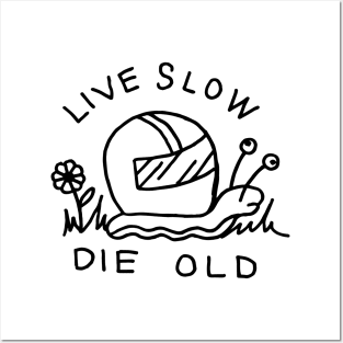 Slow & Low Posters and Art